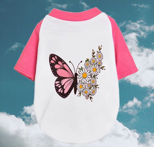 The Butterfly Effect