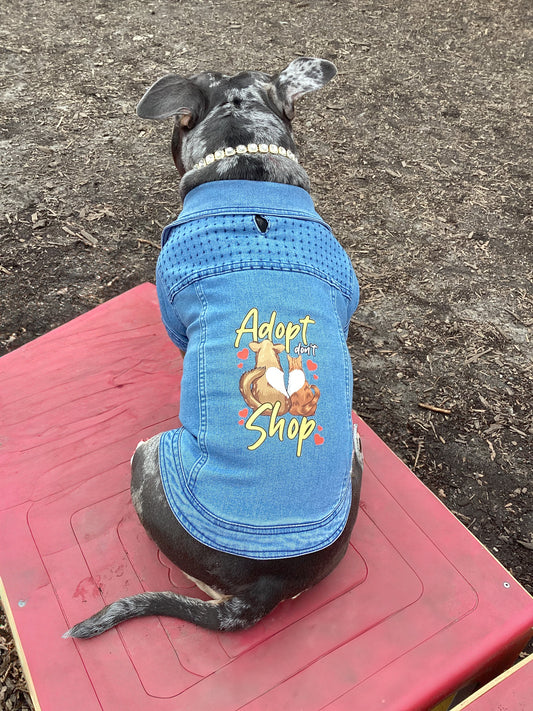 Adopt Don't Shop
